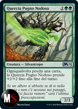 QUERCIA PUGNO NODOSO