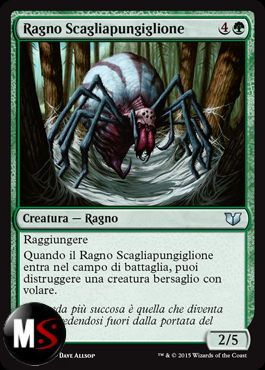 RAGNO SCAGLIAPUNGIGLIONE