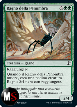 RAGNO DELLA PENOMBRA