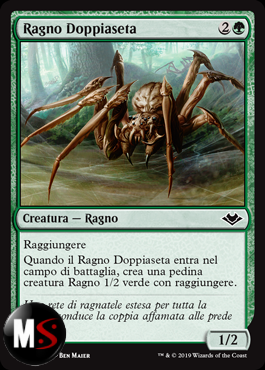 RAGNO DOPPIASETA