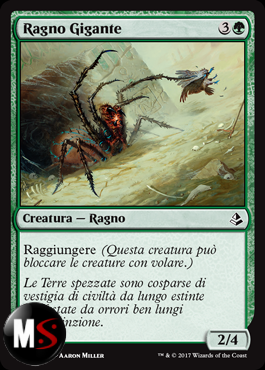 RAGNO GIGANTE