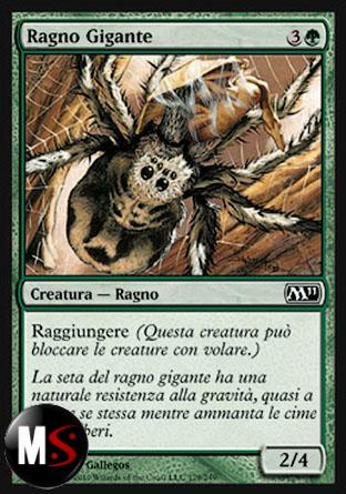 RAGNO GIGANTE