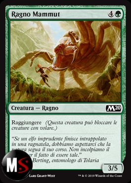 RAGNO MAMMUT