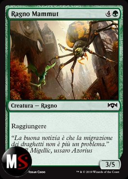 RAGNO MAMMUT