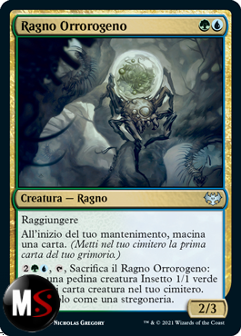 RAGNO ORROROGENO