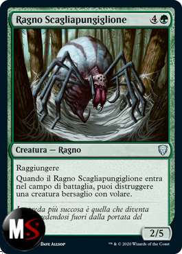 RAGNO SCAGLIAPUNGIGLIONE