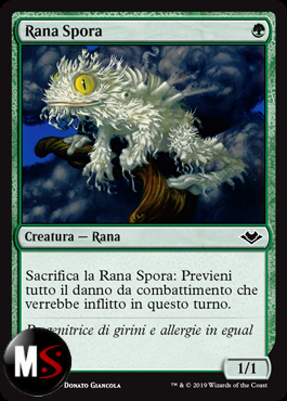 RANA SPORA