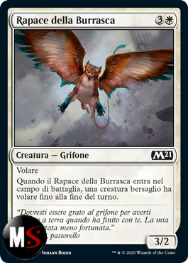 RAPACE DELLA BURRASCA