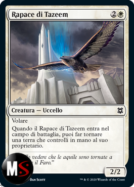 RAPACE DI TAZEEM