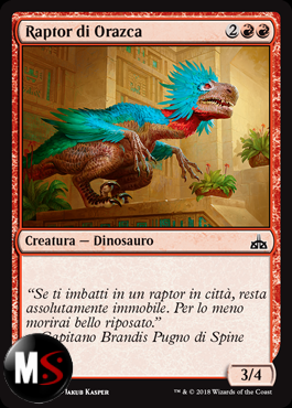 RAPTOR DI ORAZCA