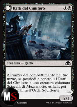 RATTI DEL CIMITERO