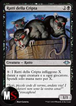 RATTI DELLA CRIPTA