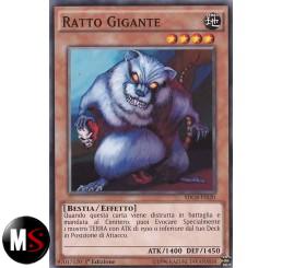 RATTO GIGANTE