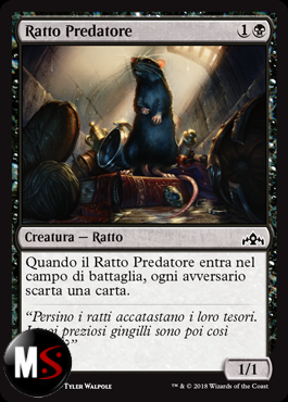 RATTO PREDATORE