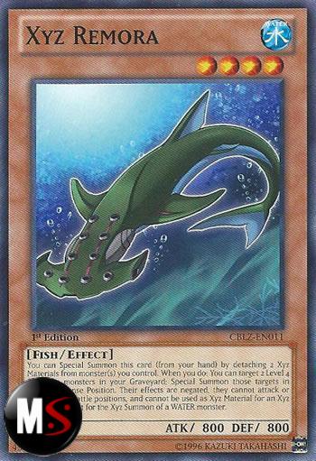 REMORA XYZ REMORA XYZ
