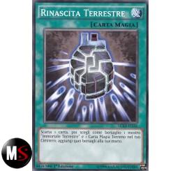 RINASCITA IMMORTALE TERRESTRE