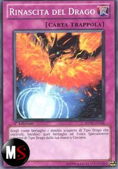 RINASCITA DEL DRAGO