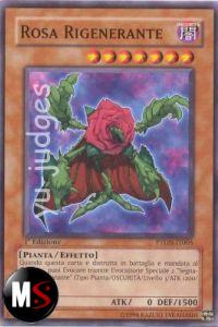 ROSA RIGENERANTE
