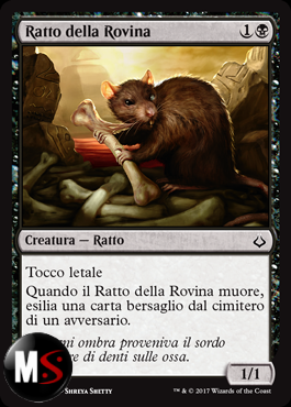 RATTO DELLA ROVINA