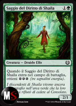 SAGGIO DEL DIRITTO DI SHAILA