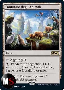 SANTUARIO DEGLI ANIMALI