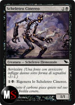 SCHELETRO CINEREO