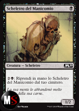 SCHELETRO DEL MANICOMIO