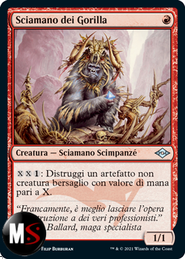 SCIAMANO DEI GORILLA