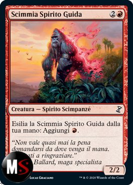 SCIMMIA SPIRITO GUIDA