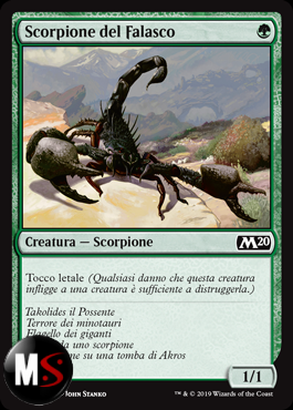 SCORPIONE DEL FALASCO