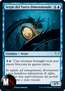 SERPE DEL VARCO DIMENSIONALE