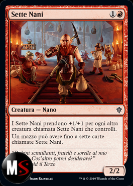 SETTE NANI