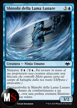 SHINOBI DELLA LAMA LUNARE