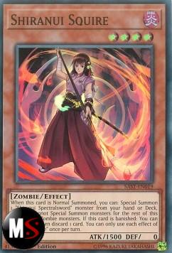 SHIRANUI SCUDIERO