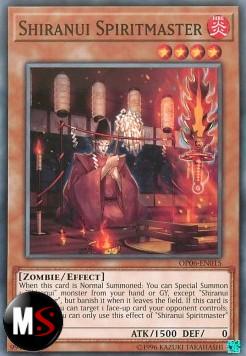SHIRANUI SPIRITOMAESTRO