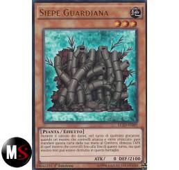 SIEPE GUARDIANA
