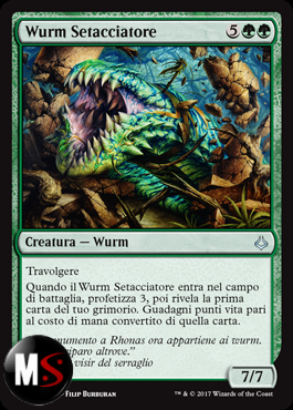 WURM SETACCIATORE