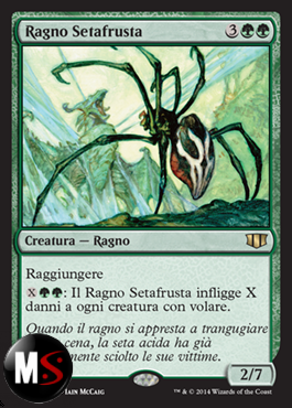 RAGNO SETAFRUSTA