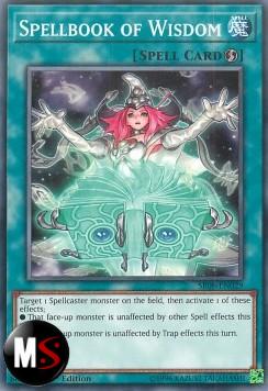 LIBRO DI MAGIA DELLA SAGGEZZA
