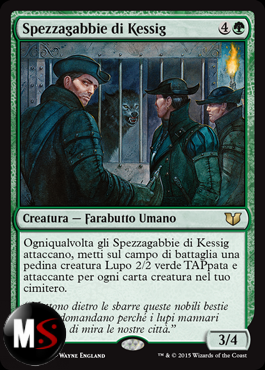 SPEZZAGABBIE DI KESSIG