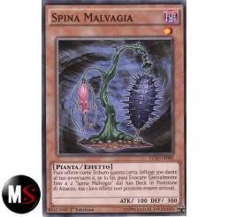 SPINA MALVAGIA