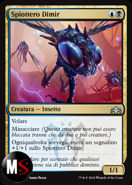 SPIOTTERO DIMIR