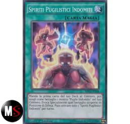 SPIRITI PUGILISTICI INDOMITI