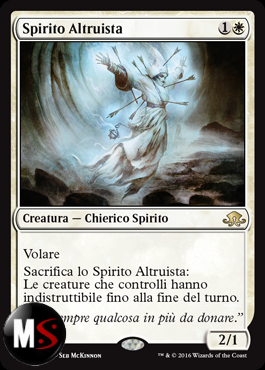 SPIRITO ALTRUISTA