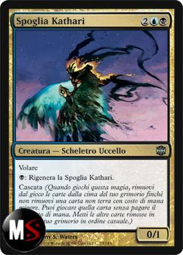 SPOGLIA KATHARI