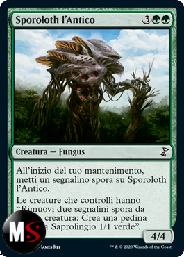 SPOROLOTH L'ANTICO