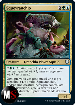 SQUOVRANCHIO