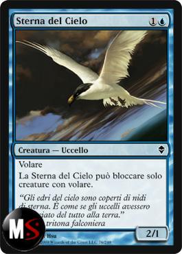 STERNA DEL CIELO