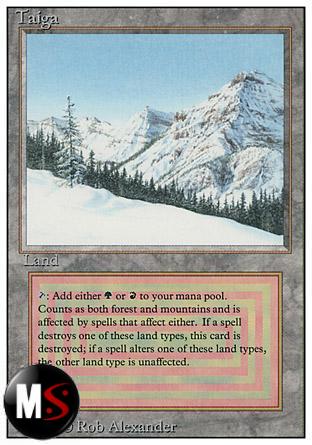 TAIGA ARTWORKATA