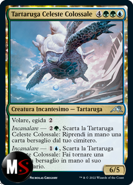 TARTARUGA CELESTE COLOSSALE